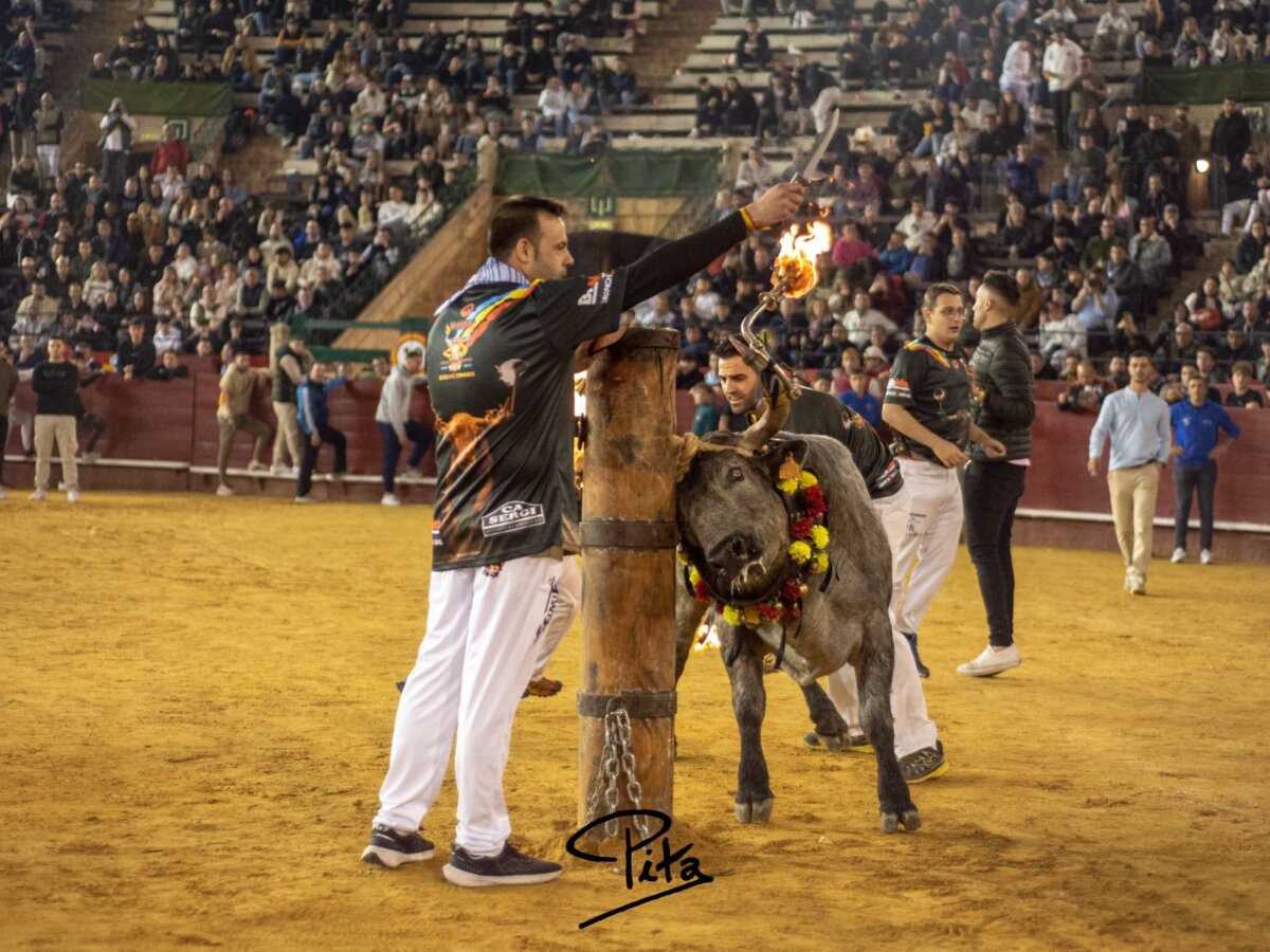 Los toros embolados regresan a Valencia en una noche triunfal
