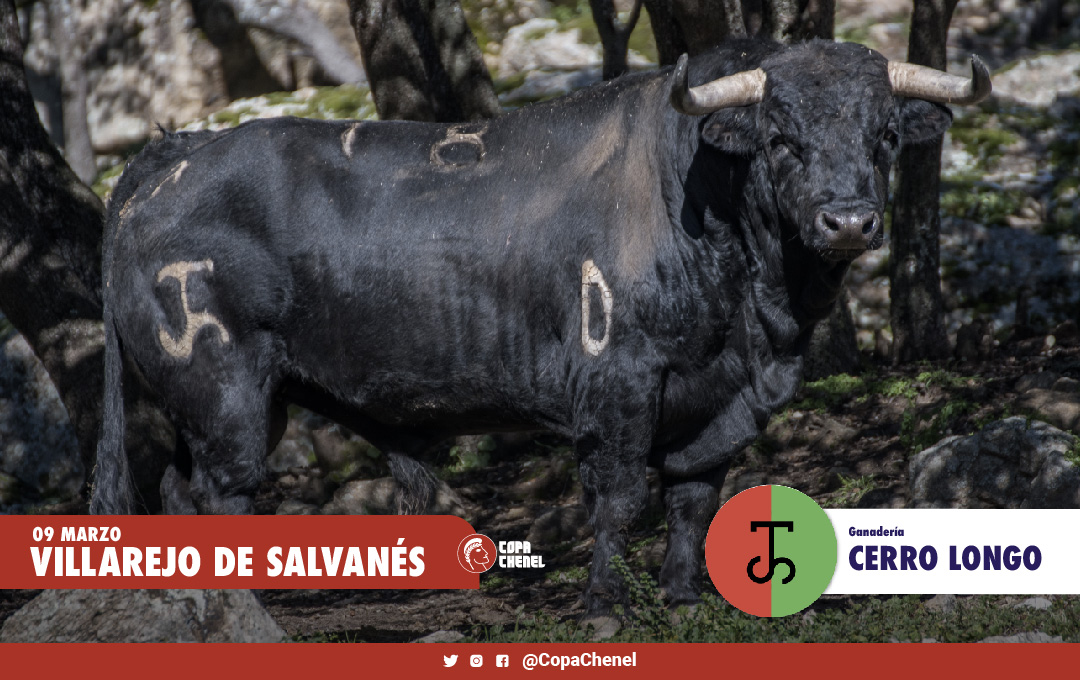 Los de Cerro Longo y Castillejo de Huebra para la Copa Chenel