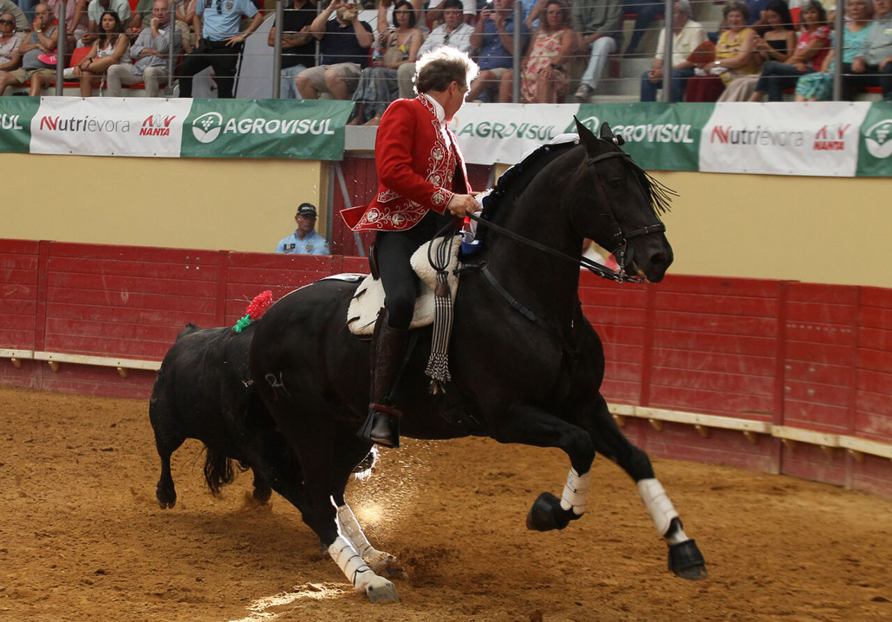 Triunfo de Pablo Hermoso en Évora; siete orejas y un rabo en Pozuelo de Calatrava