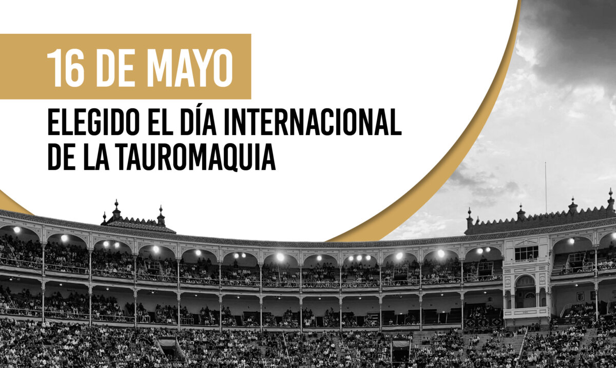 El 16 de mayo será el Día Internacional de la Tauromaquia