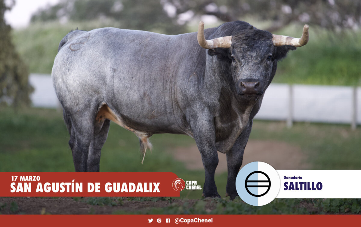 Los toros del duelo ganadero Saltillo vs Montealto para la Copa Chenel