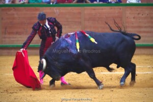 Foto: Miguel Pérez Aradros.