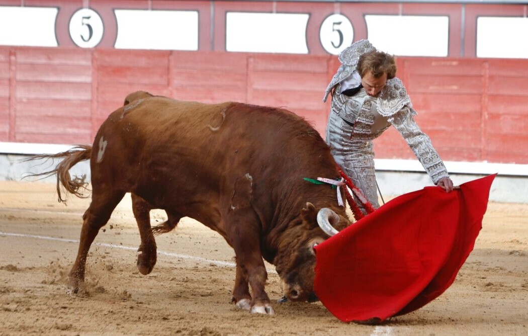 Oreja para Román con importantes pedrazas en Madrid
