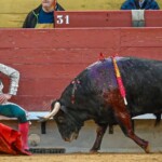 Foto: Vicent Canelles