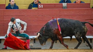 Foto: Vicent Canelles