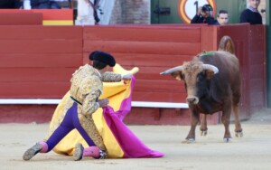 Foto: Antonio Vigueras