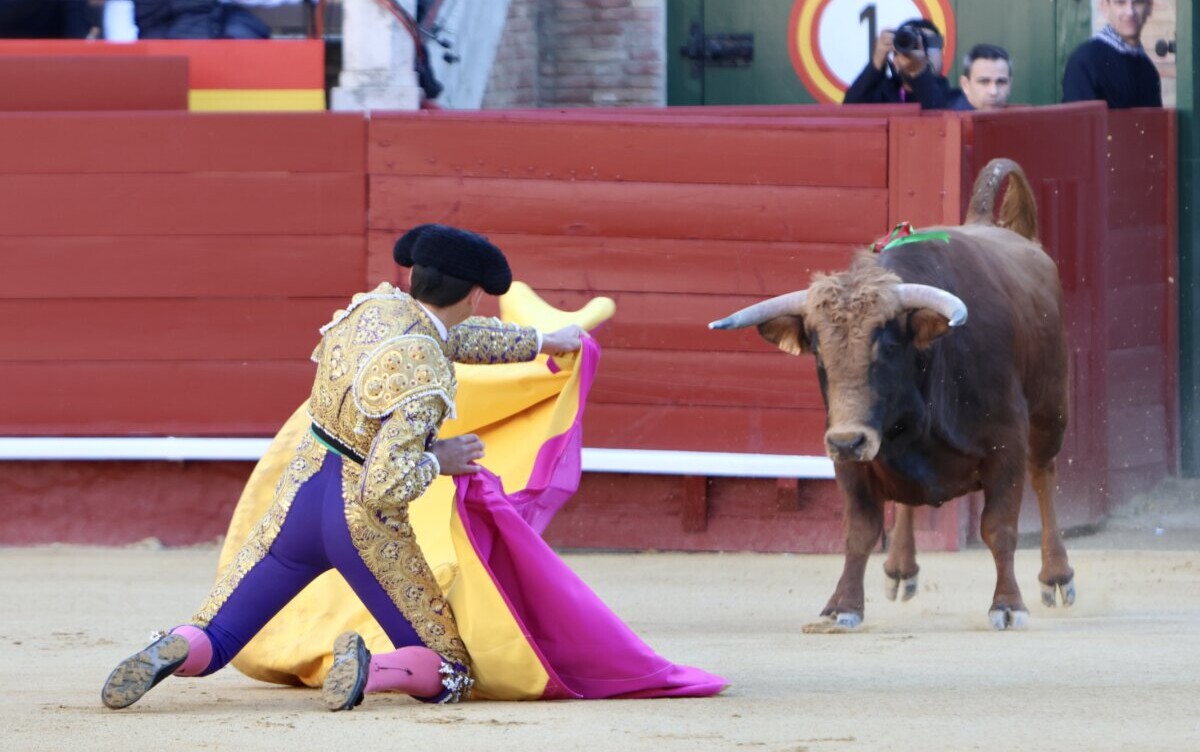 Vídeo resumen de la excelente novillada de José Cruz en Valencia
