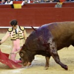 Foto: Antonio Vigueras