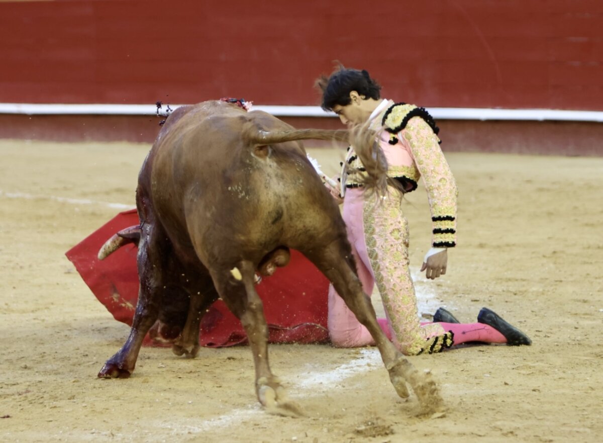 Roca Rey o por qué es figura del toreo