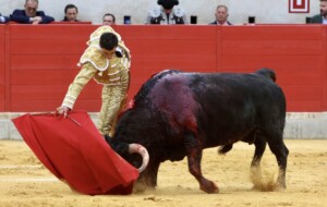 Foto: Antonio Vigueras