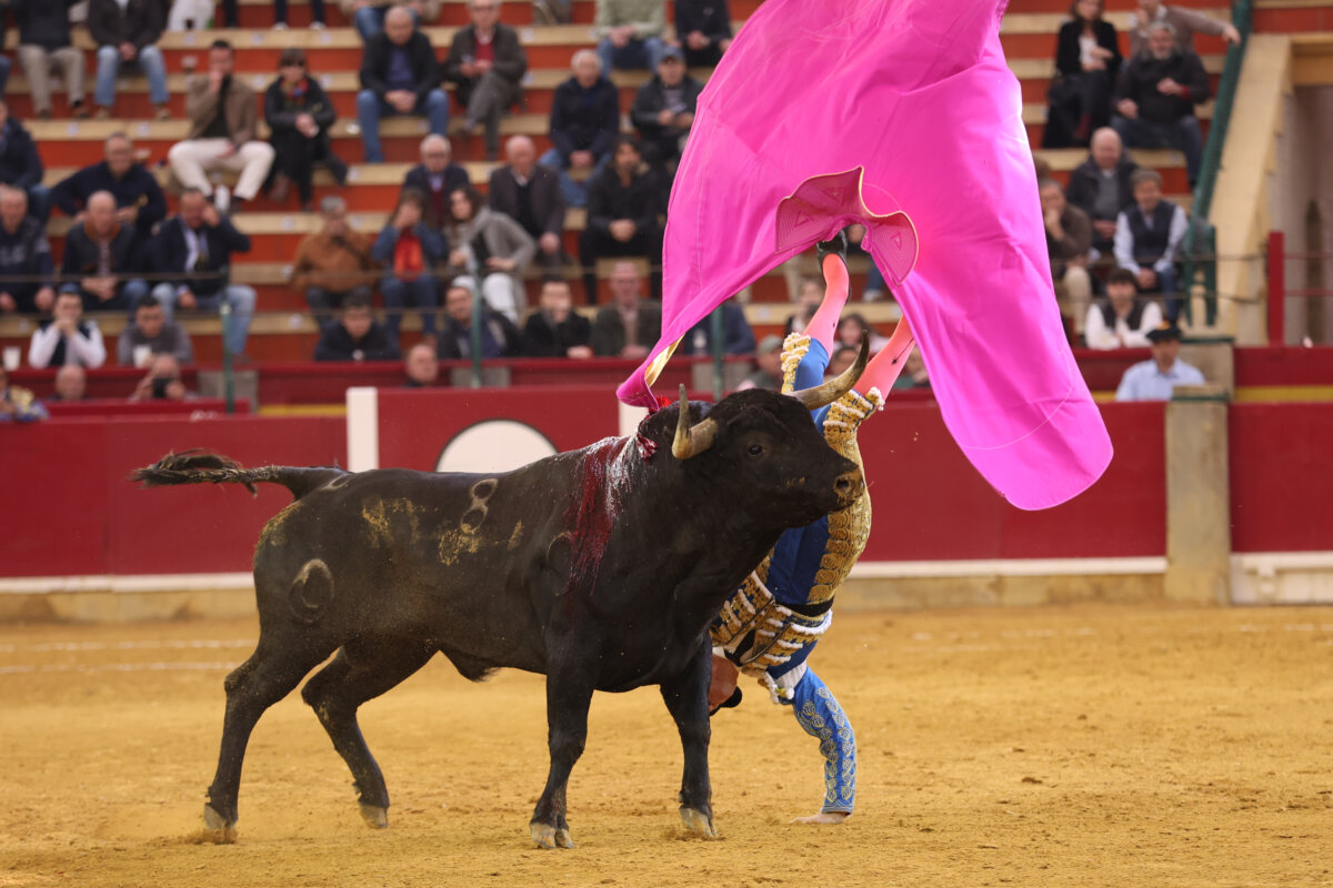 Borja Jiménez se libra de milagro