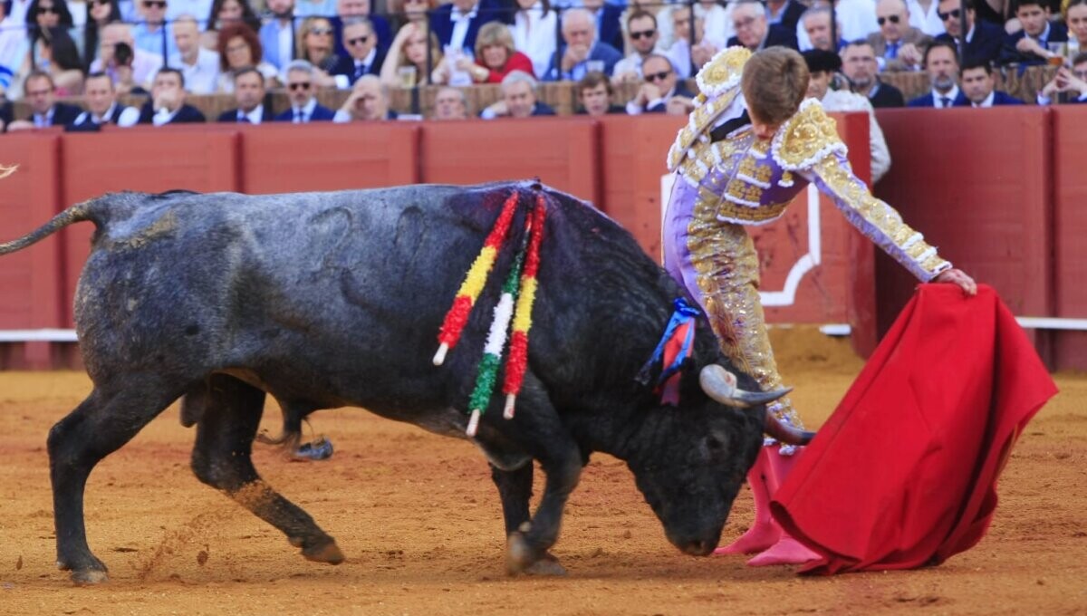Borja Jiménez: "La faena alcanzó niveles de toreo, pero se me fue la segunda oreja con la espada"