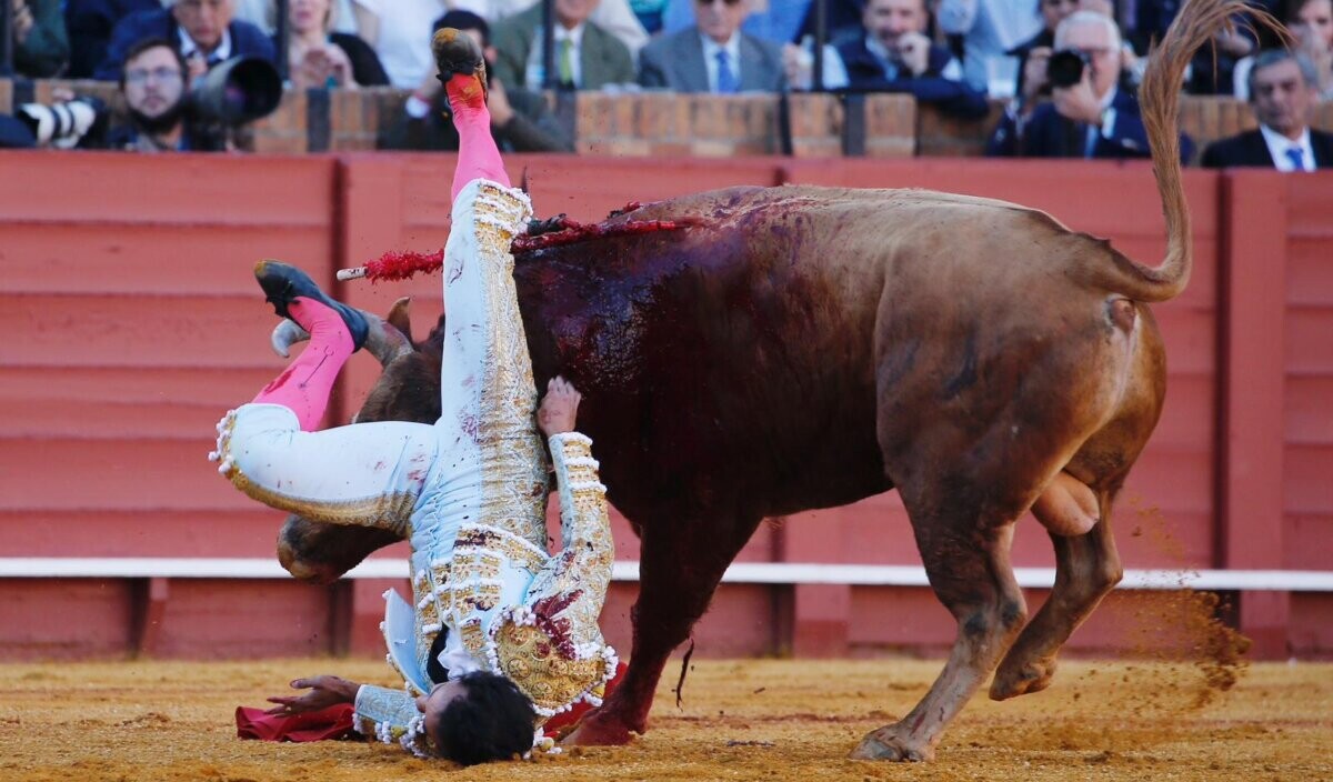 Leo Valadez, varetazo en fosa ilíaca derecha y erosión superficial pretibial