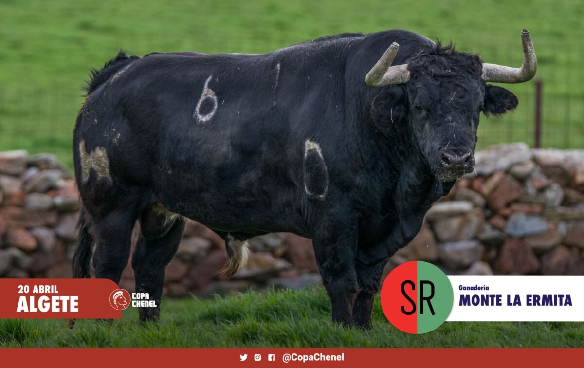 Los toros de Los Eulogios, Monte la Ermita y Montealto para la Copa Chenel
