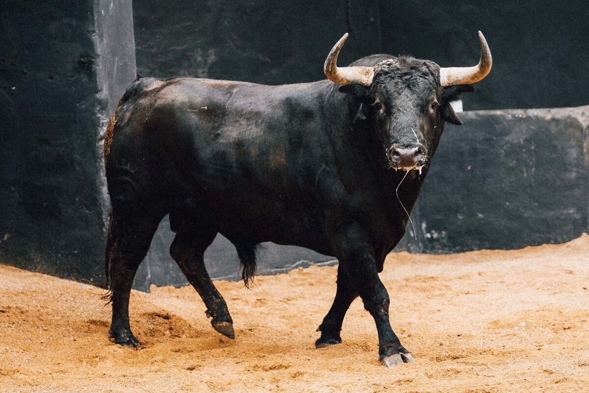 Seis de Santiago Domecq para la tercera de abono en Sevilla