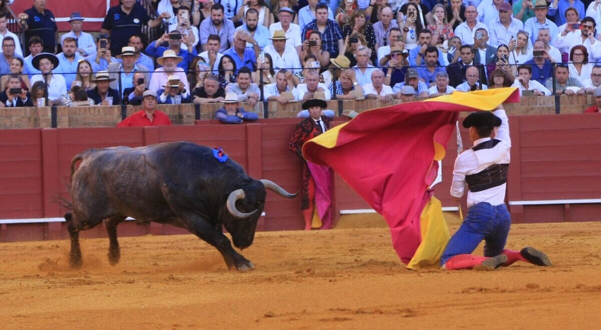 Manuel Escribano volverá a Sevilla en contra de las recomendaciones médicas