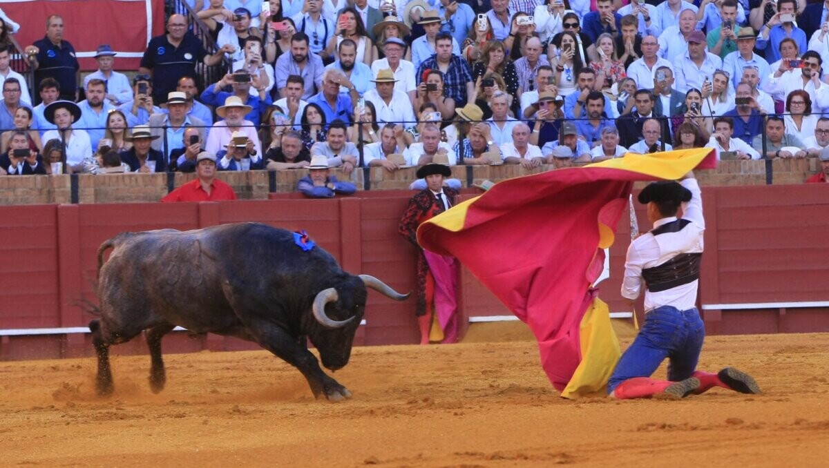 Manuel Escribano, XX Premio “Al Detalle para el Recuerdo” de la Feria de Abril
