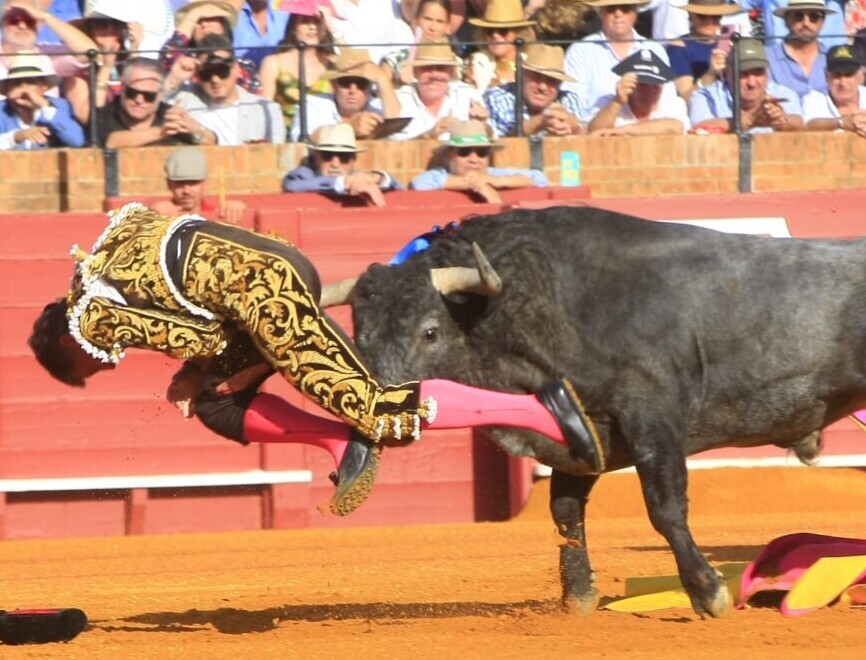 Heroico Escribano, que operado de una cornada de 10 cm, lidió al sexto