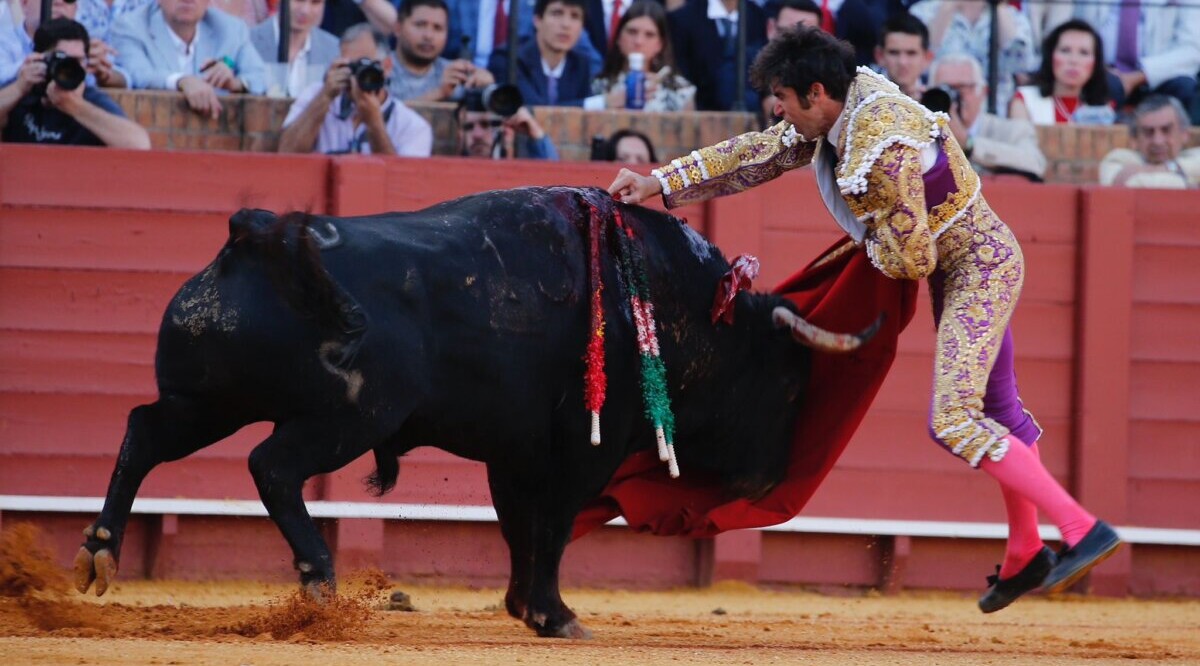 Cayetano, contusión en la musculatura tricipital del brazo derecho