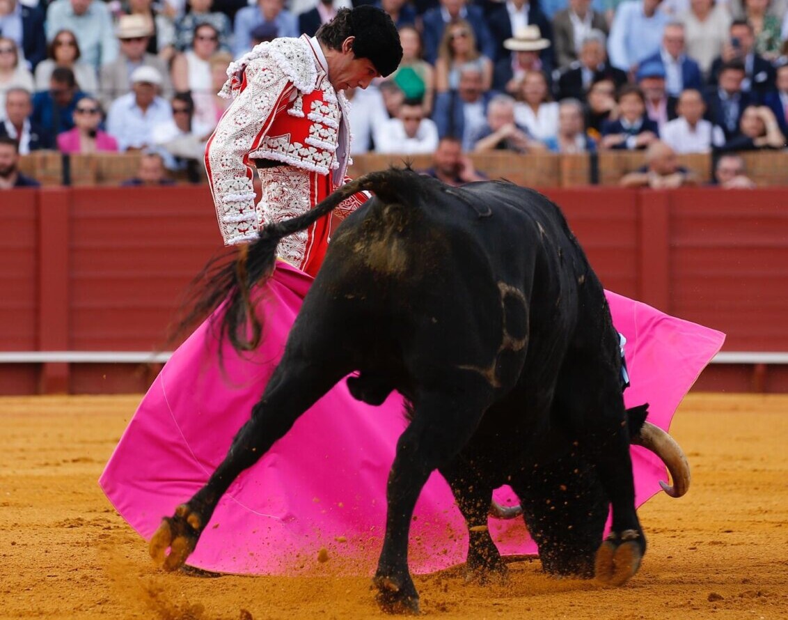 Castella borda el toreo a la verónica (El viernes de farolillos, en imágenes)