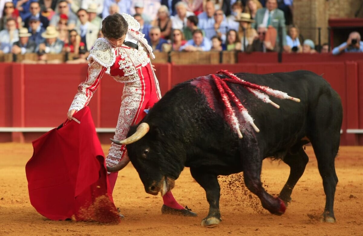 Los acordes del pasodoble Juncal en Sevilla, en recuerdo de Jaime de Armiñán