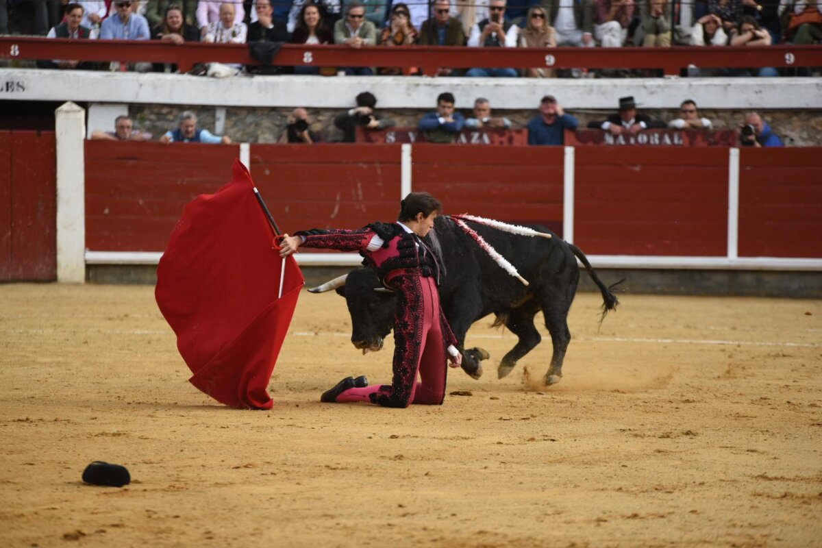 Roca Rey, faena redonda en Brihuega