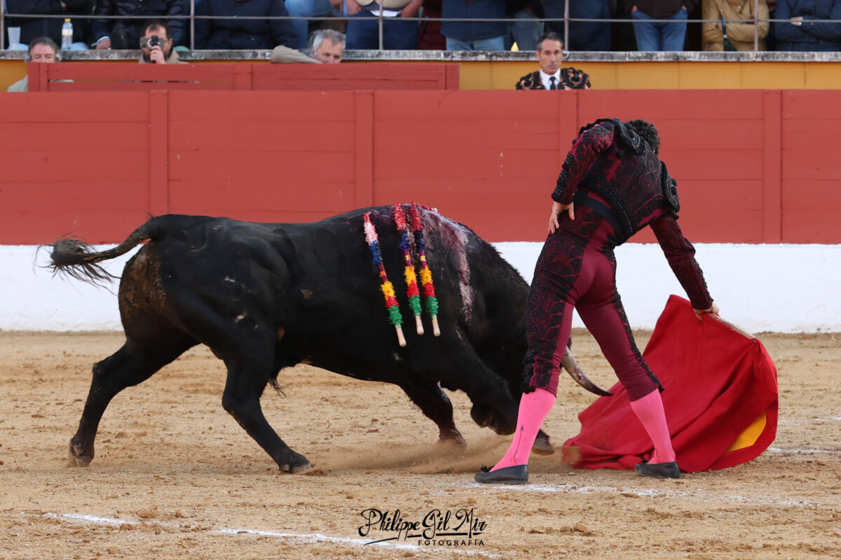 San Agustín del Guadalix: calor en los tendidos y frío en el ruedo