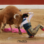 Foto: Phillipe Gil Mir