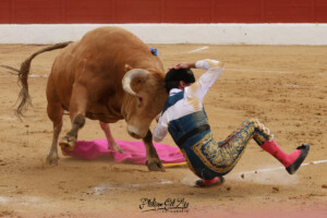 Foto: Phillipe Gil Mir