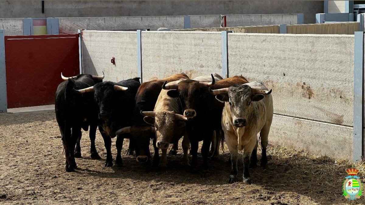 Sorteados los de Sagrario Moreno para la semifinal del Alfarero de Plata