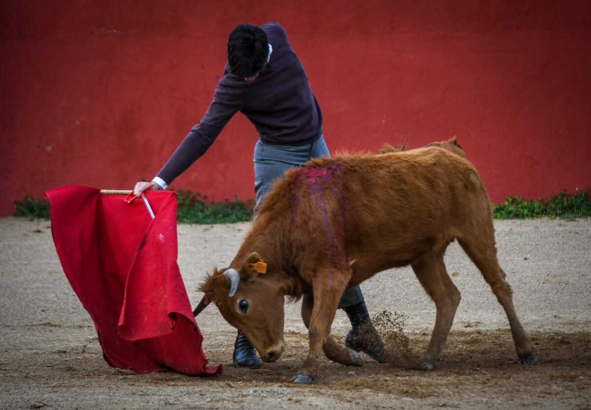 Esaú Fernández: "Llego a Sevilla en un momento de madurez, es hora de recoger los frutos"