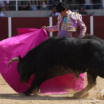 Sergio Sánchez ejecutando una verónica. Foto: Roland Costedoat
