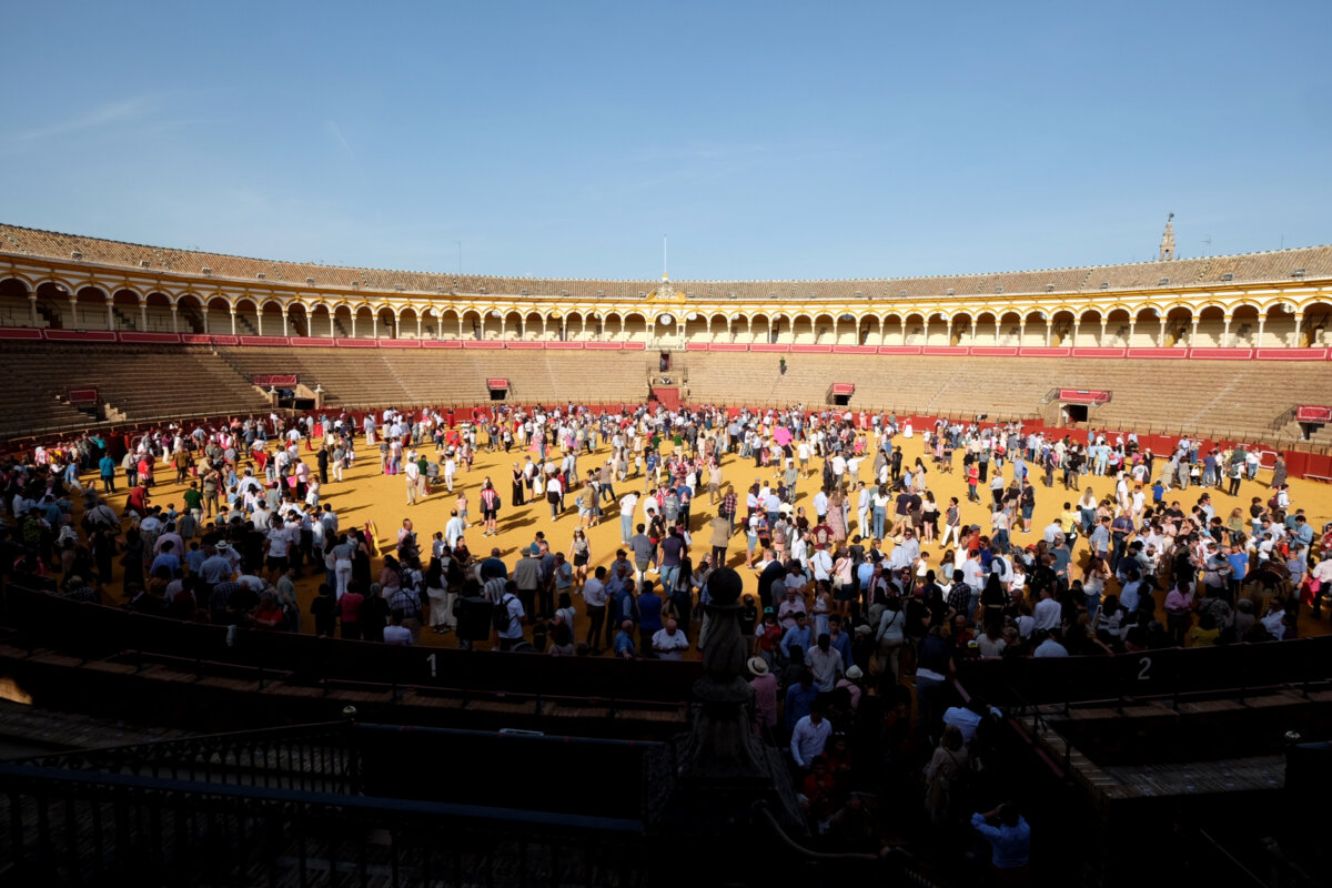 Más de 5.000 personas, en la jornada de Puertas Abiertas de la Maestranza de Sevilla