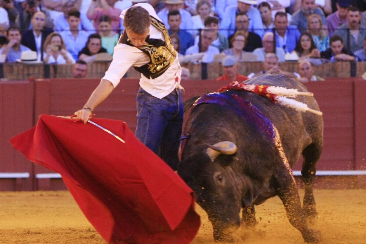 Manuel Escribano, Mejor Lección Torera por Aula Taurina de Sevilla