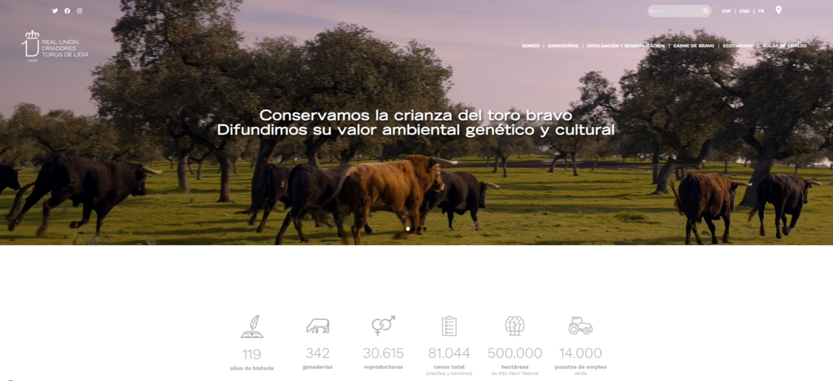 La Real Unión de Criadores de Toros de Lidia presenta su nueva web