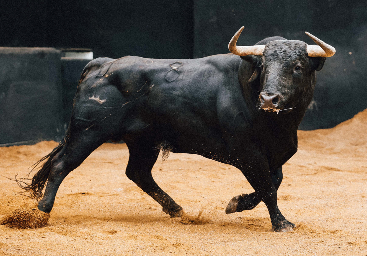 “Diestro”, de Santiago Domecq, distinguido por el Colegio Oficial de Veterinarios de Sevilla