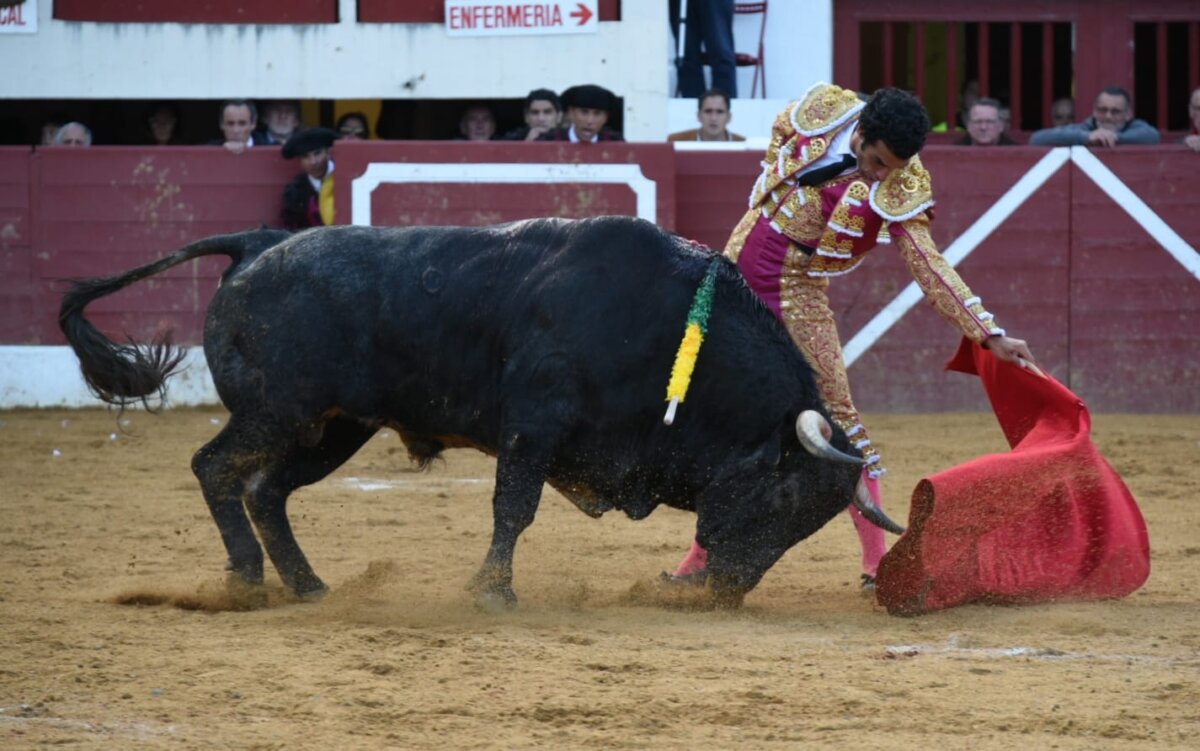 Morenito y Saltacancelas, los hitos de la feria de Vic-Fezensac