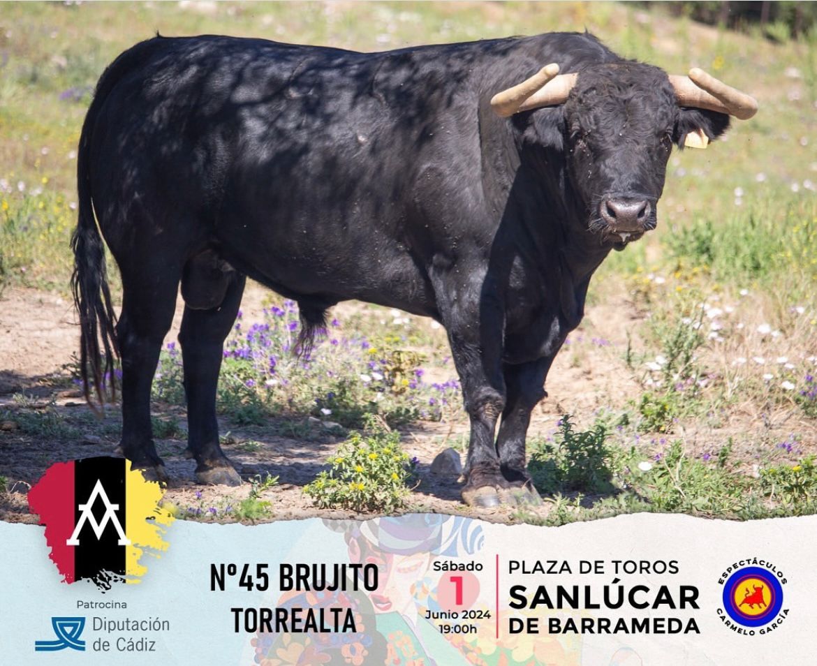 El Melli tomará la alternativa en Sanlúcar de Barrameda con Brujito, de Torrealta