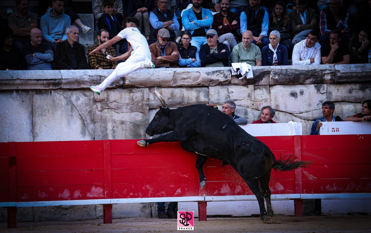 La corrida camarguesa de Nimes: emoción, espectáculo y tradición