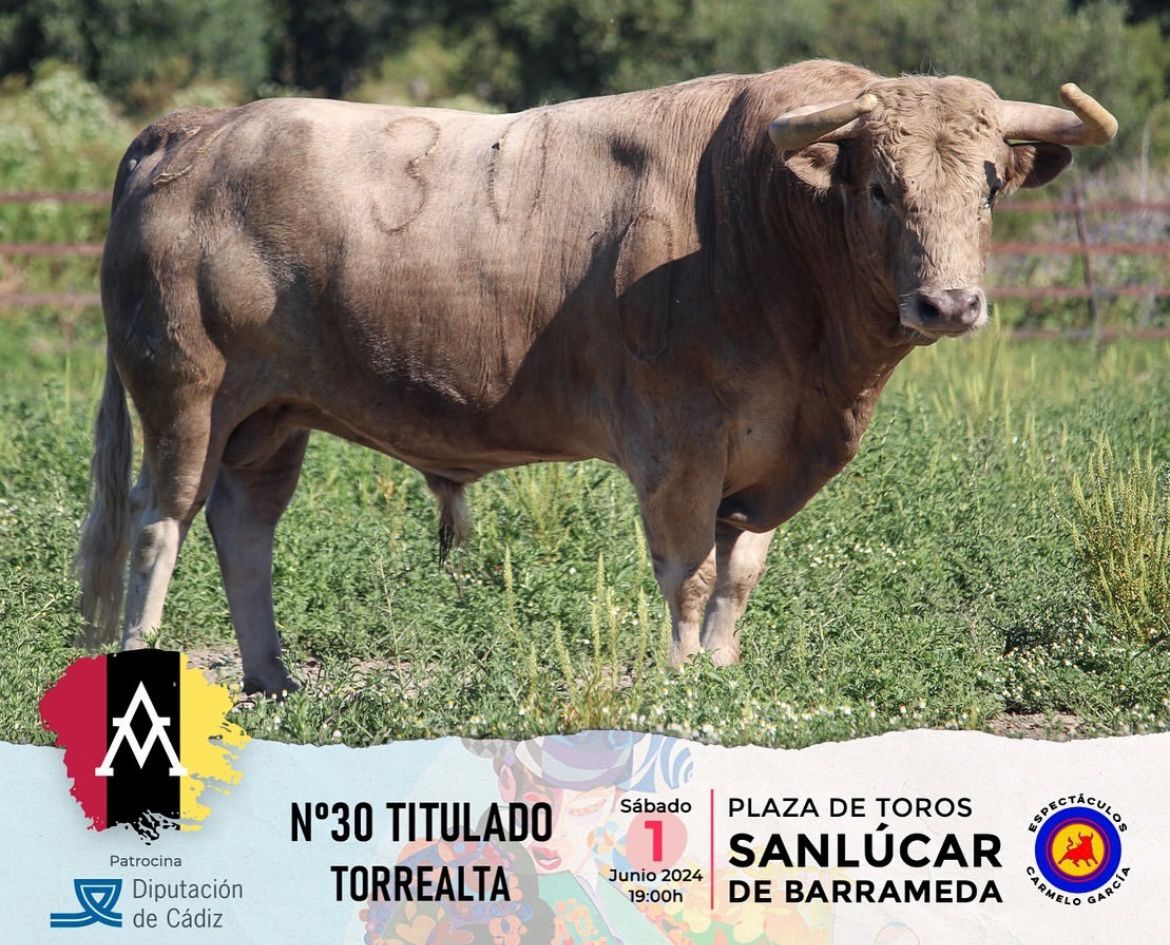 Los de Torrealta para la Feria de la Manzanilla de Sanlúcar de Barrameda