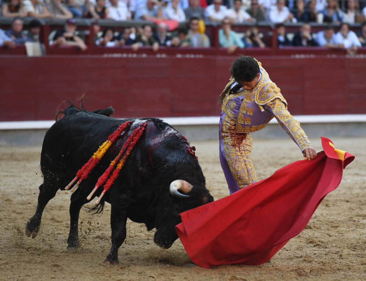 Chicharro roza la gloria (La última novillada de San Isidro, en vídeo)