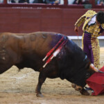 Jarocho, toreando al natural. Foto: Javier Arroyo