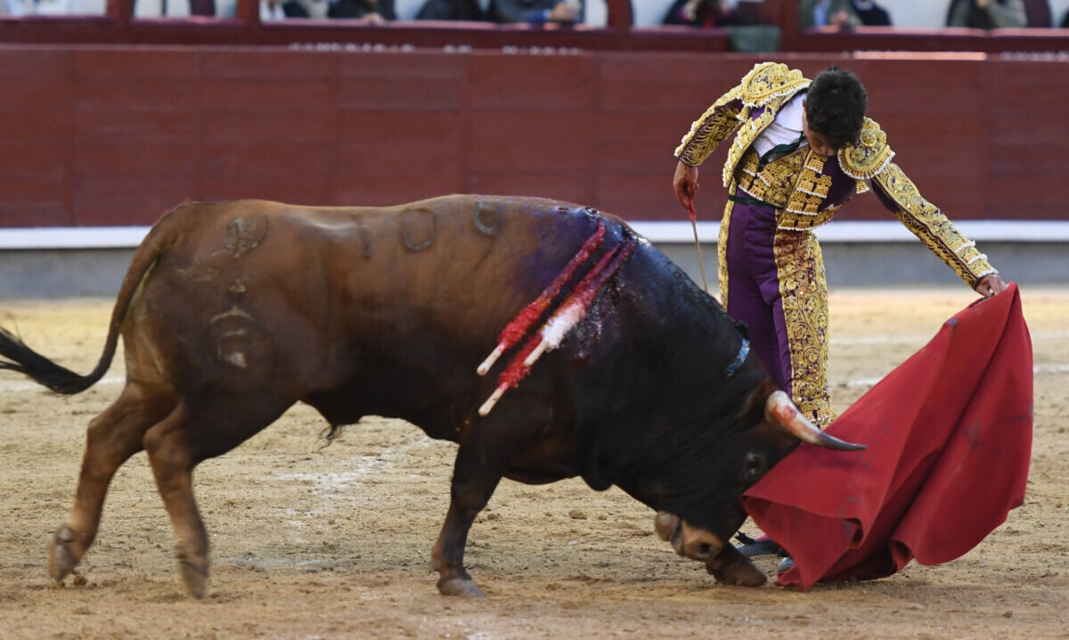 Jarocho se vende caro (así abrió la puerta grande)