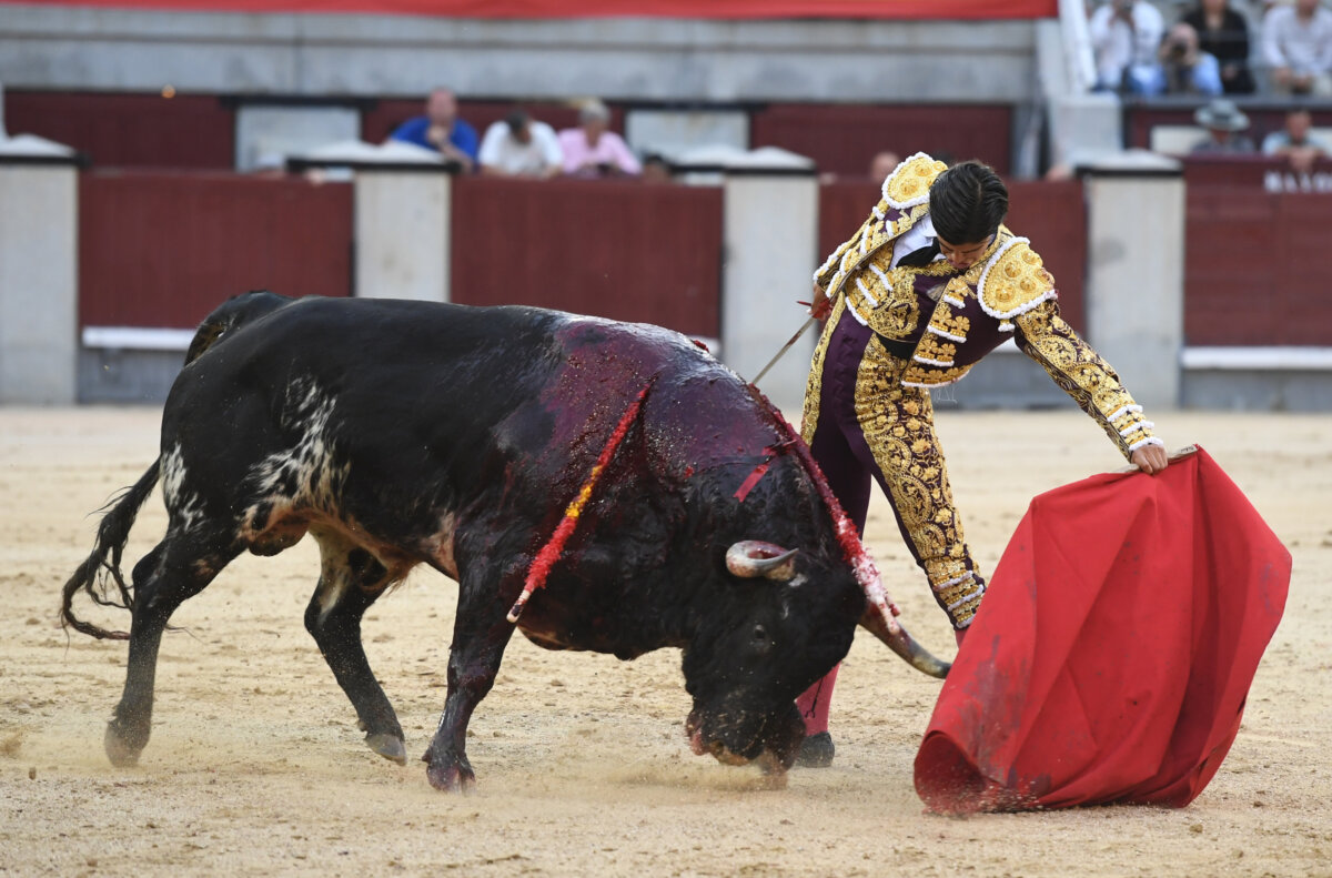 Así fue el regreso de Baltasar Ibán a Las Ventas, en vídeo