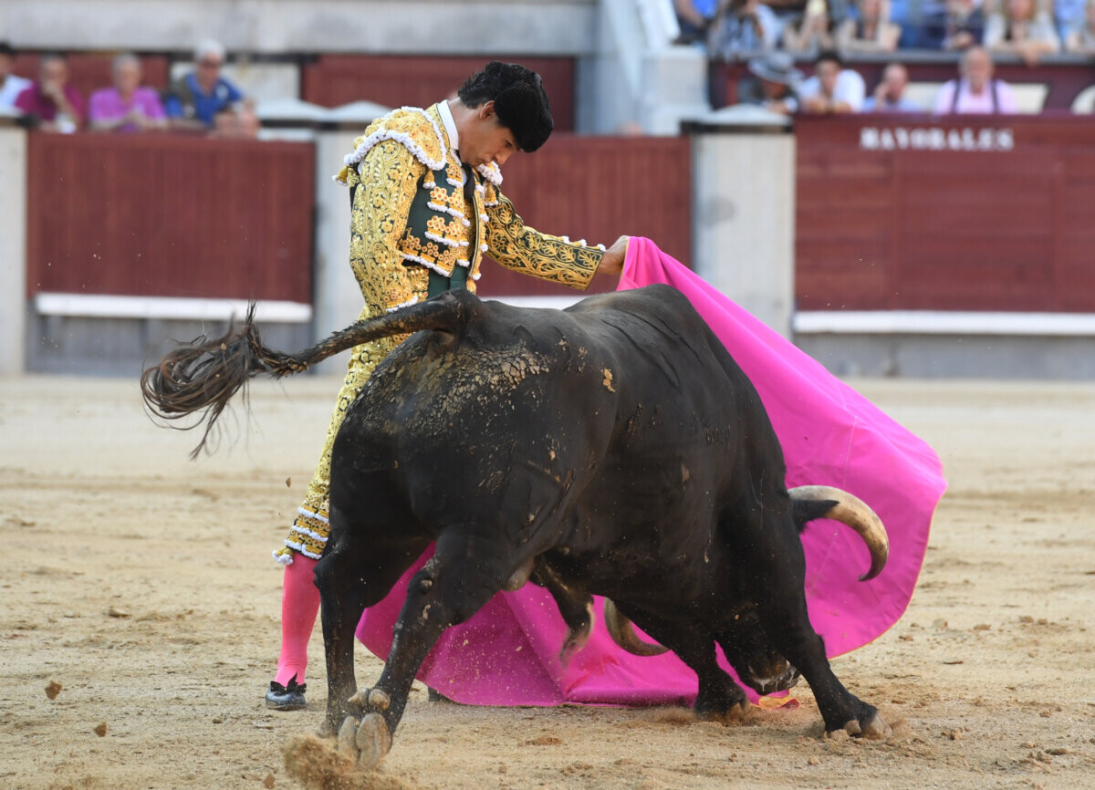 Morante y Aguado, pique en quites (la decimoséptima de San Isidro, en imágenes)