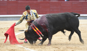 Galván fue el descubrimiento. Foto: Javier Arroyo
