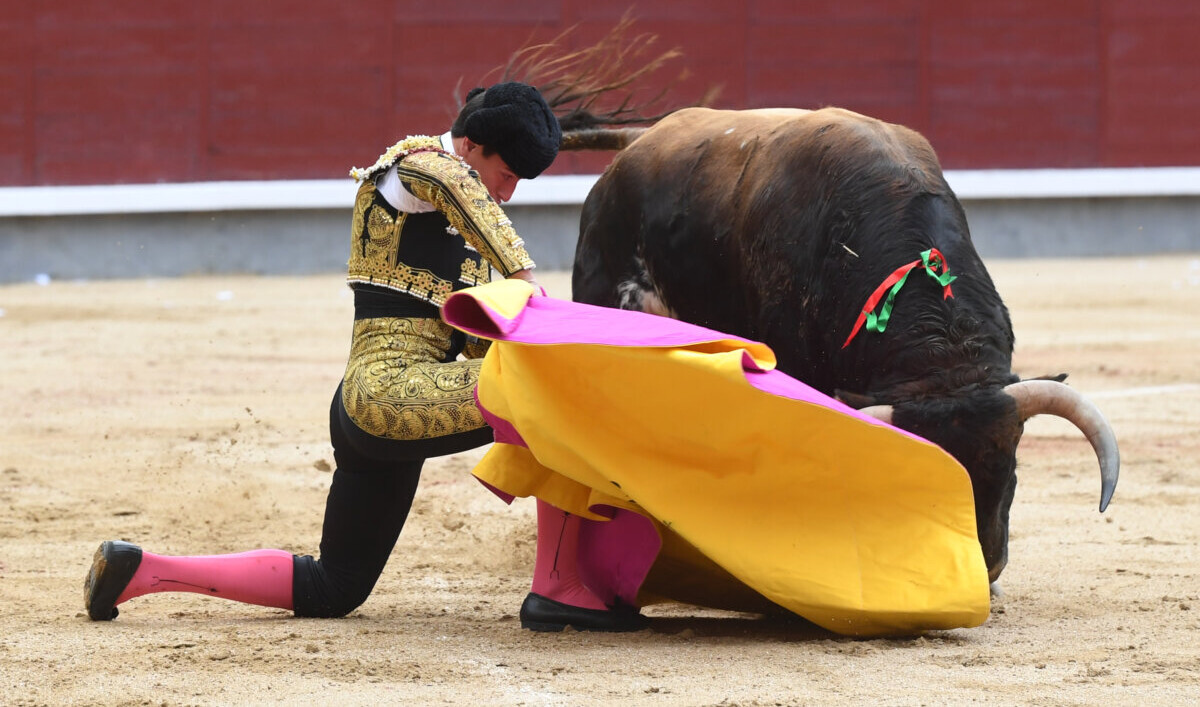 La primera novillada de San Isidro, en imágenes