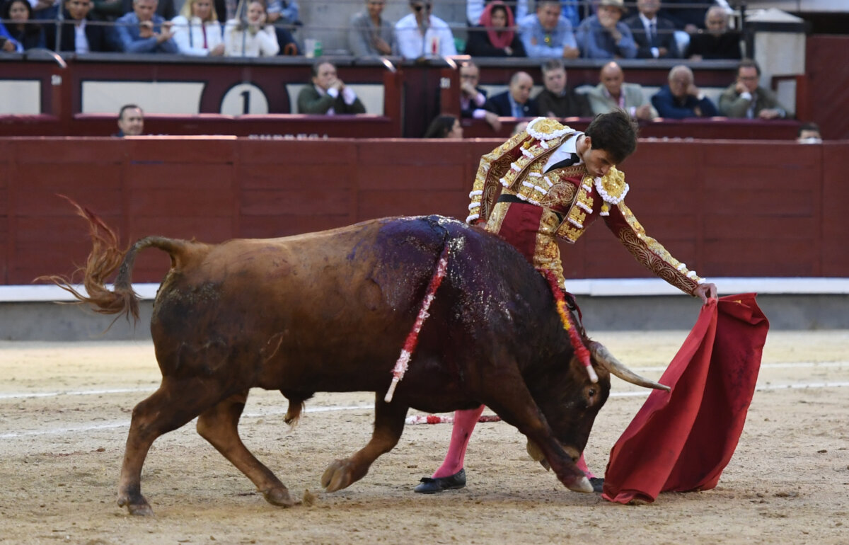 Se presiente el principio  de una hermosa competencia