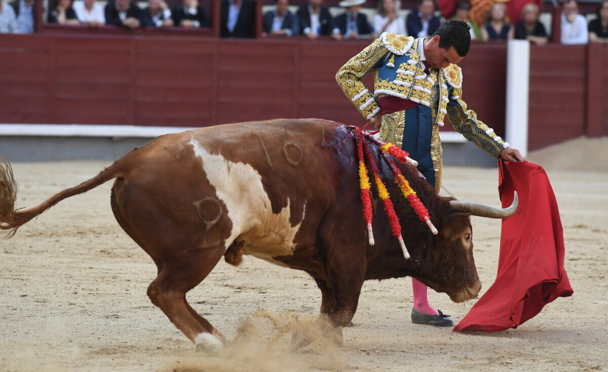 Galván mantiene su crédito en Madrid y da una vuelta al ruedo en su repetición