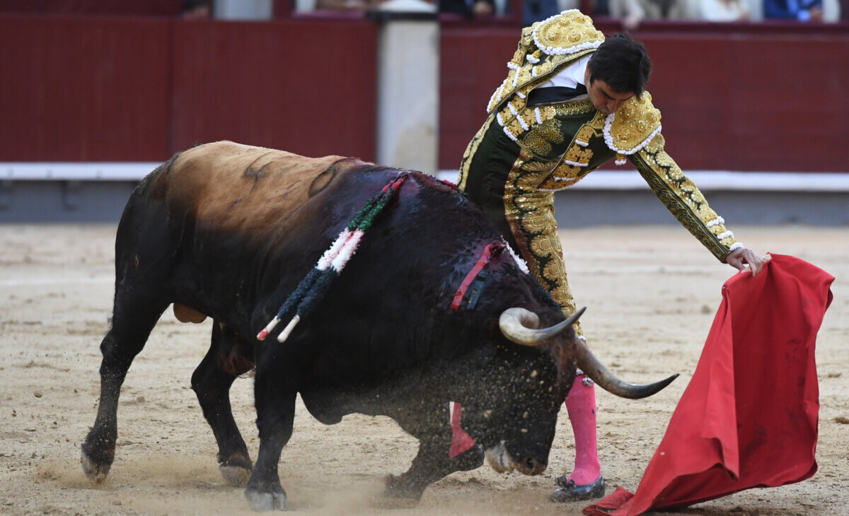 Perera, hambre sin espada en Madrid